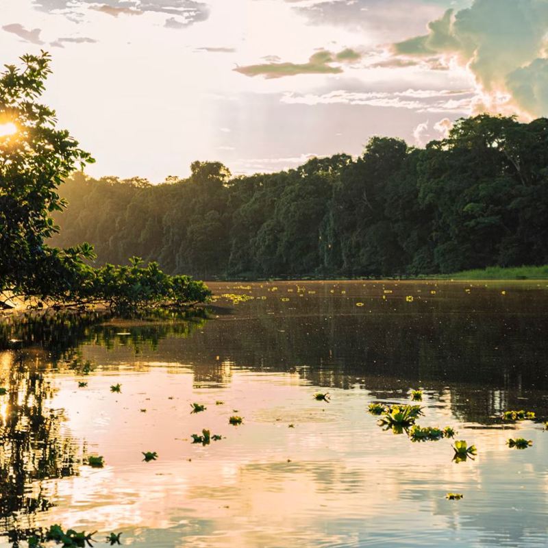 I:\AXUMIMAGES\Sydamerika\Ecuador\Amazon\Lake
