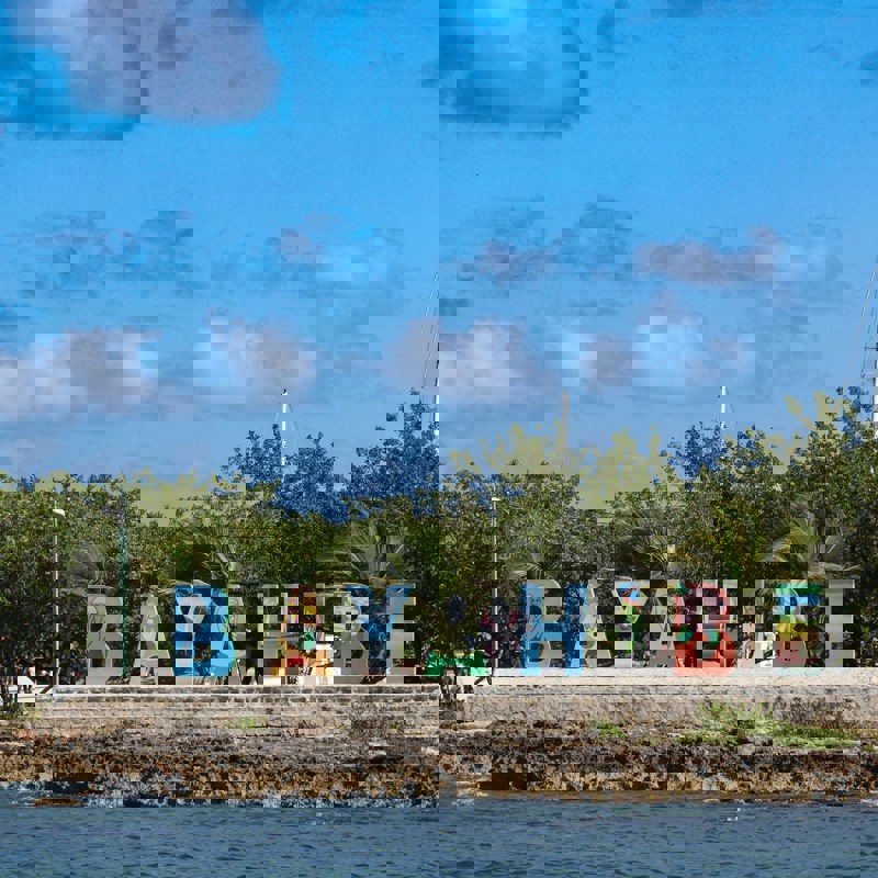 meg-von-haartman-hDNXql-xRu8-unsplash