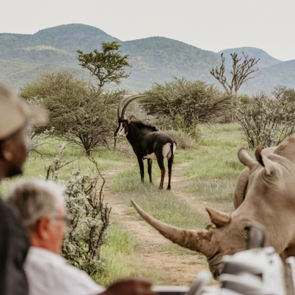 Okapuka Safari Lodge - Game Drive