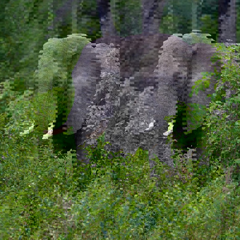 dmitrii-zhodzishskii-aluPYgeBNSQ-unsplash