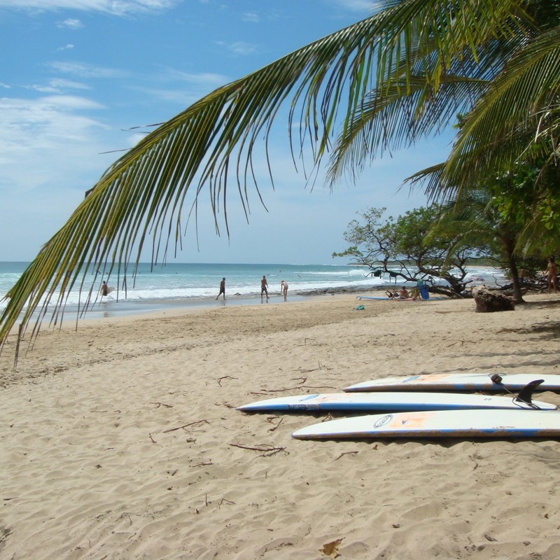 playa tortuga strand