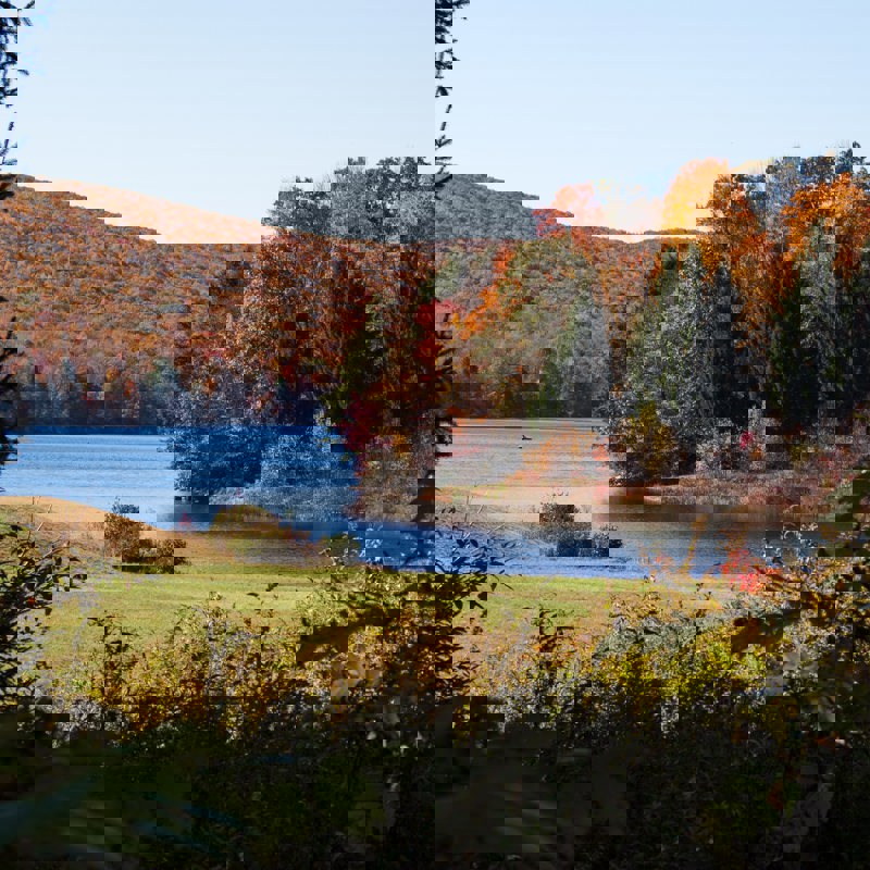 ryan-stone-_Fk0JdaZZ1E-unsplash