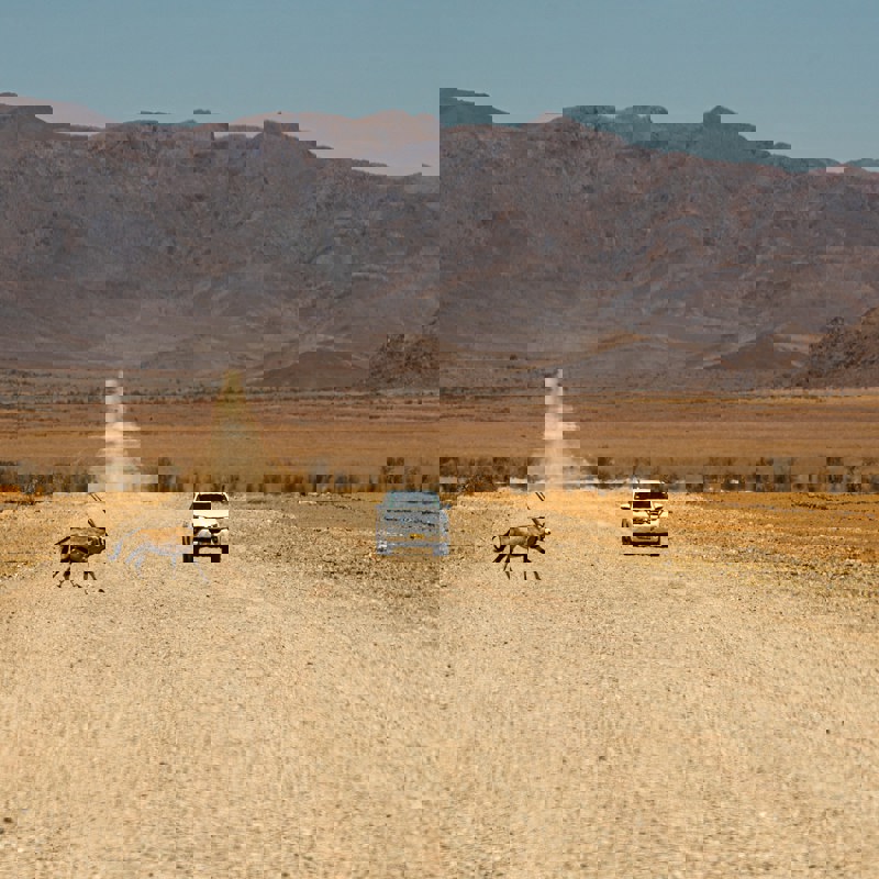 birger-strahl-vsHEXpJ5Db8-unsplash