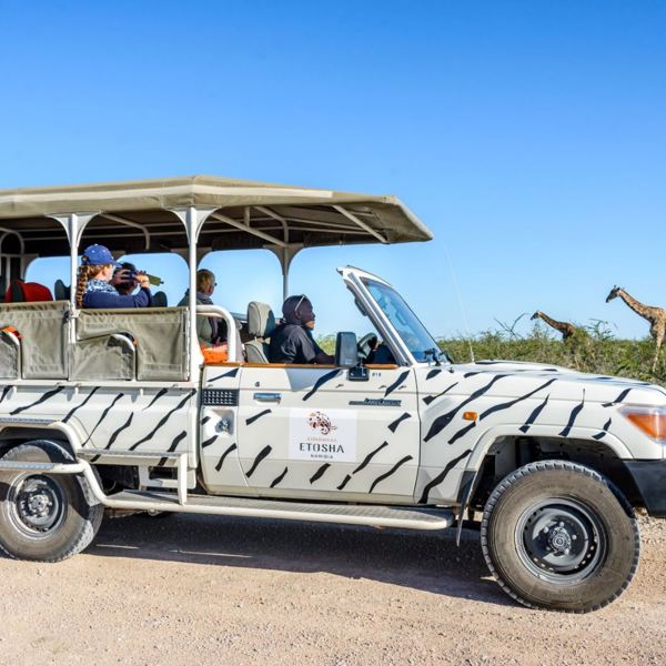 Etosha Safari Camp - Game drive