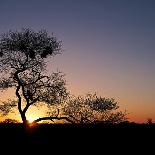 Solnedgang over Nxai Pan, Botswana