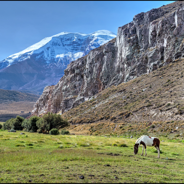 Chimborazo National Park