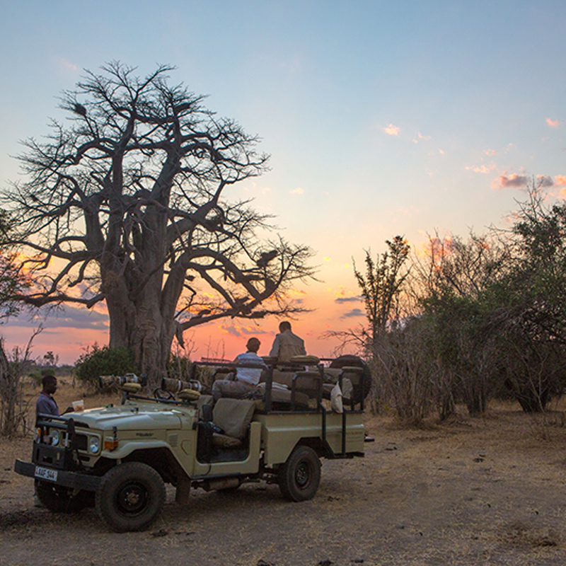 Sundowners-Baobab