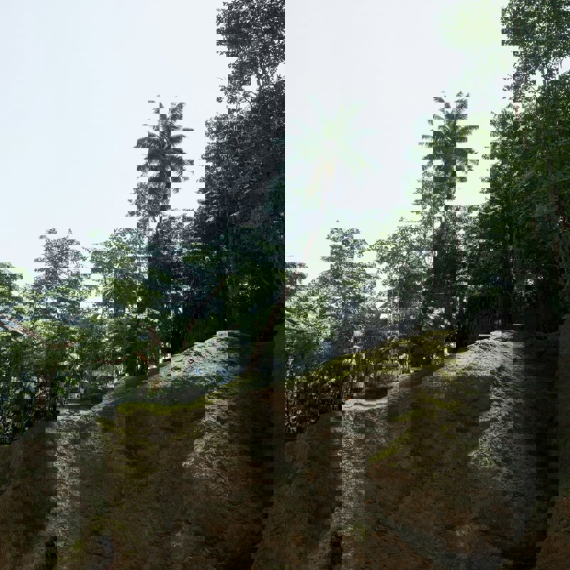 alexander-mils-PbwhN8YuyiI-unsplash