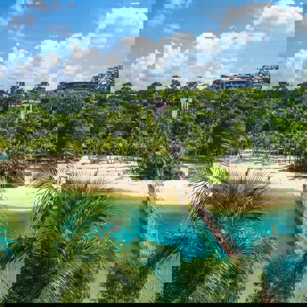 Martiniques krystalblå hav og eksotiske palmer