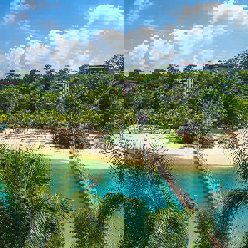 Martiniques krystalblå hav og eksotiske palmer