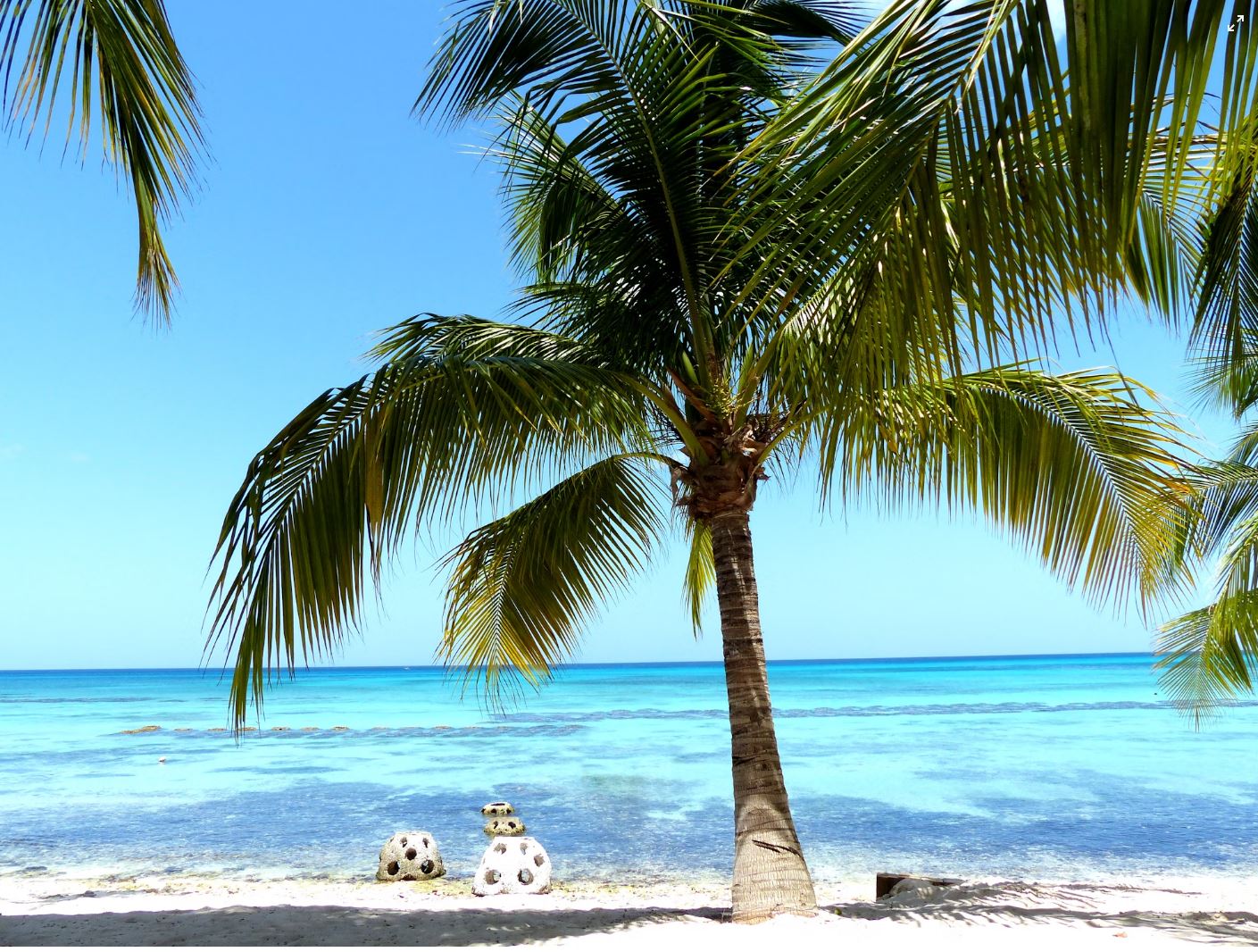 I:\AXUMIMAGES\Caribien\dominikanske republik alle billeder\Overordnet\Capture