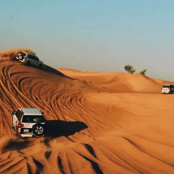 Dubai - ørkensafari