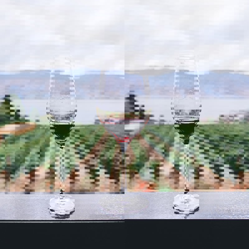 kym-ellis-aF1NPSnDQLw-unsplash