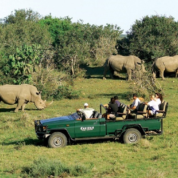 Game Drive i Kariega reservatet