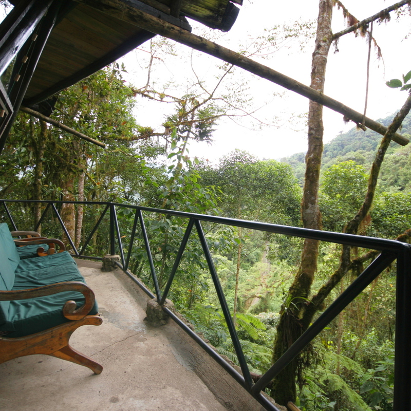 imageedit_1_7293908289