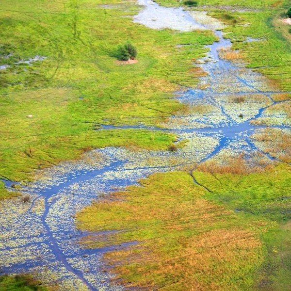Okavango deltaet, Botswana, Afrika