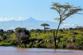 mt kenya unsplash 3