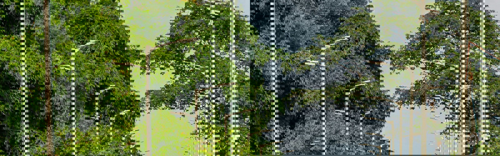 sanjay-thakur--mrnPip2440-unsplash