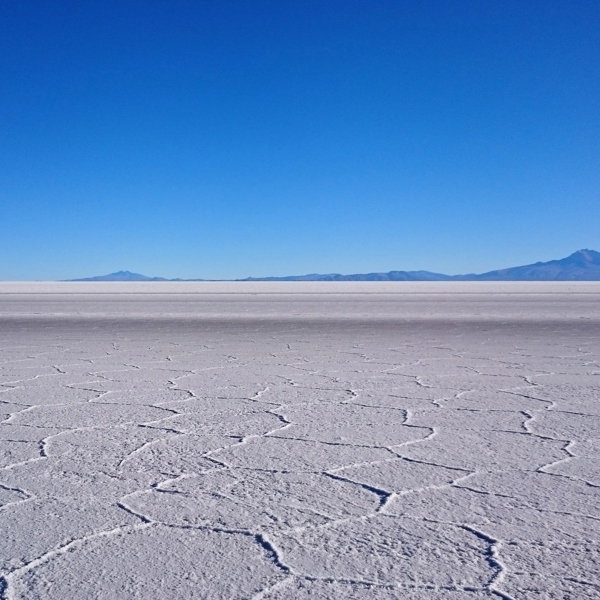 Inchahuasi Island, saltflader