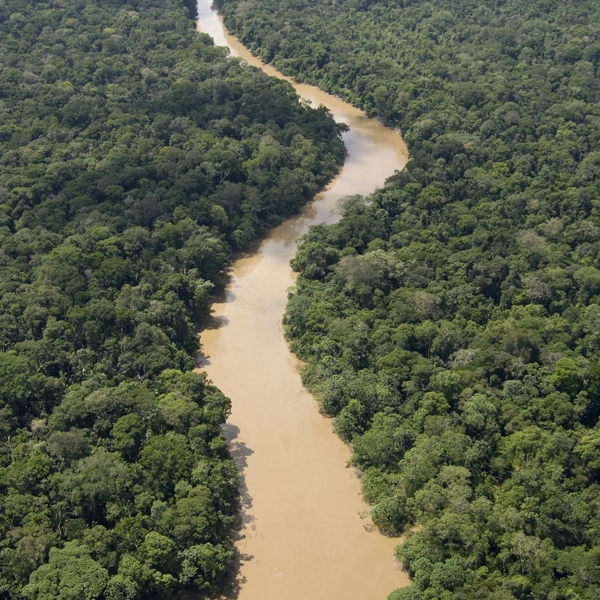 Amazonas, jungletur