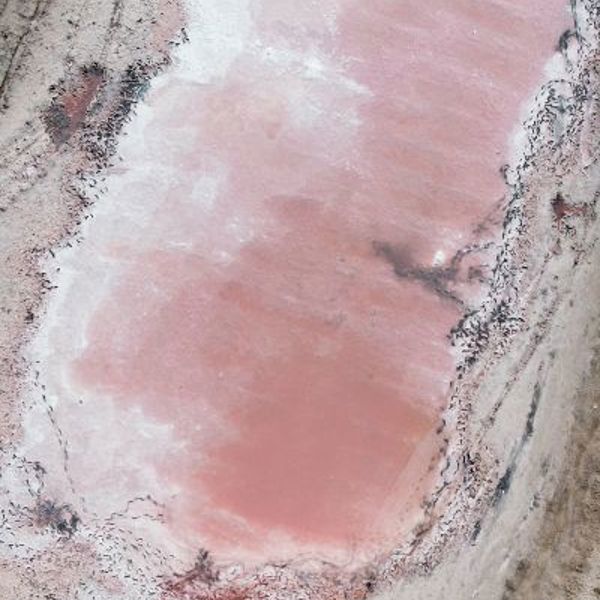 Rødt sand ved Ras Al Khaimah