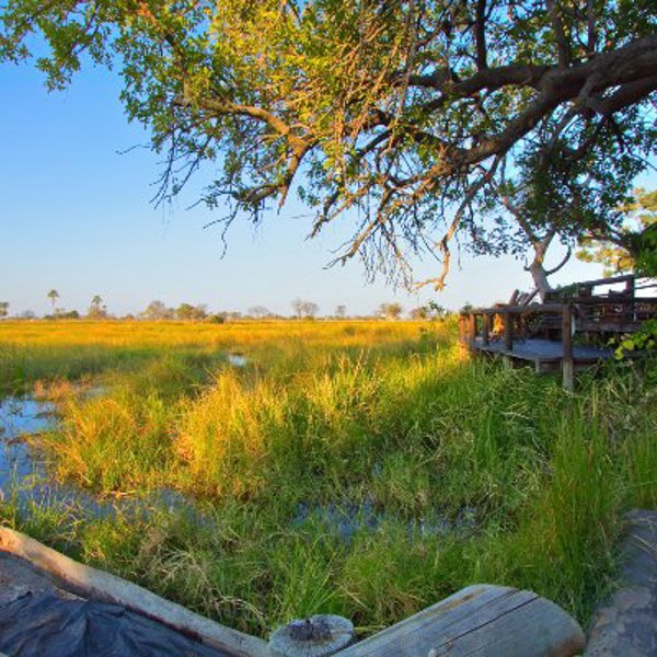 Okavango i Botswana