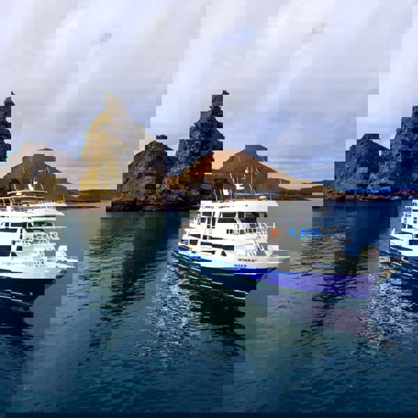 Galapagos båd, Hannibal Travel