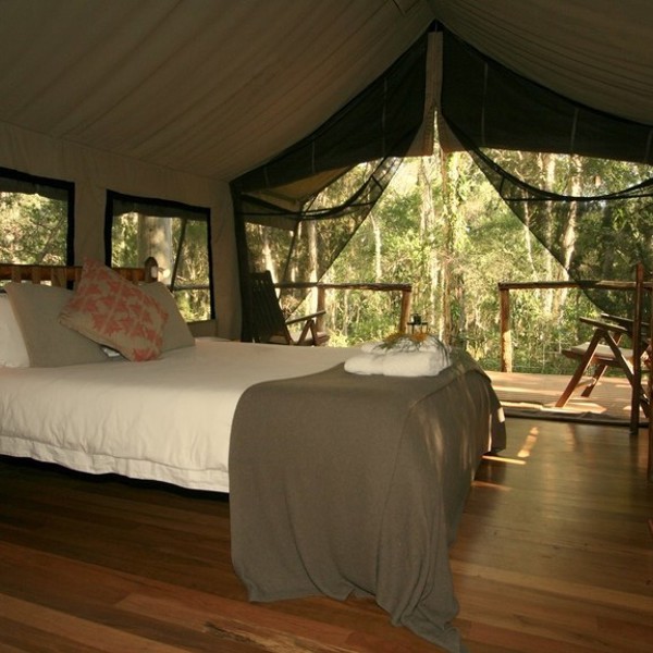 Paperbark Camp - et telt indefra, Australien