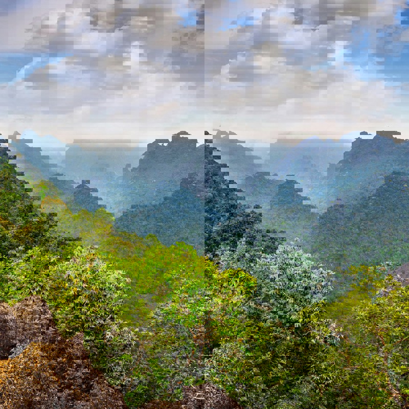 getty-images--hcxjV0u1JU-unsplash