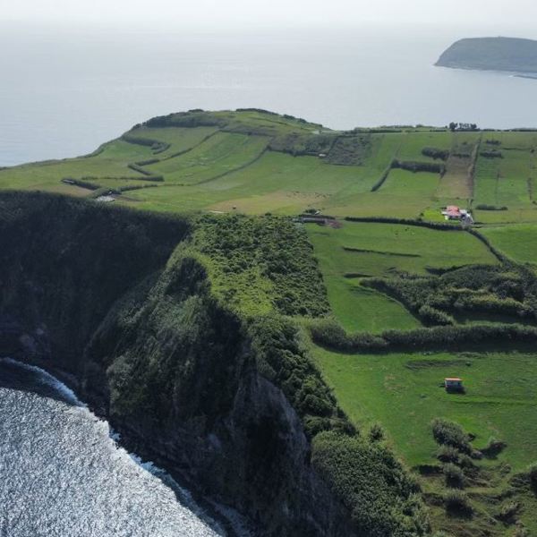 Faial grønne marker