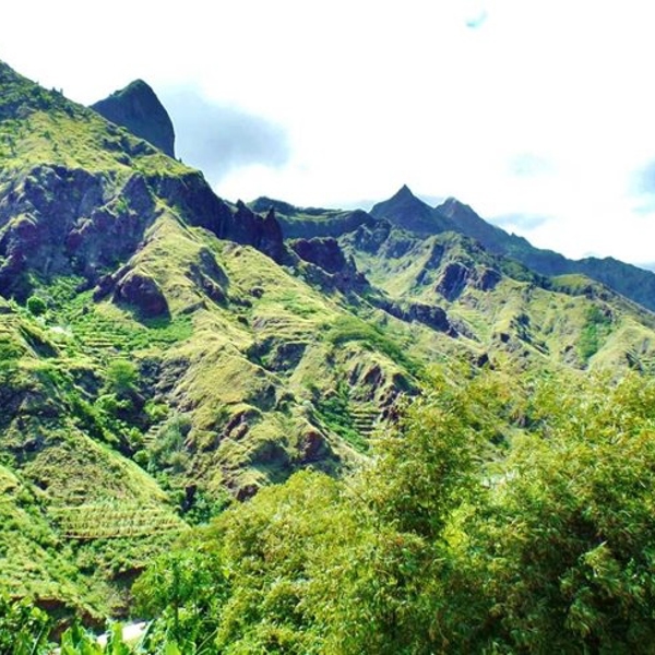 Grøne omgivelser på Santo Antâo, Kap Verde