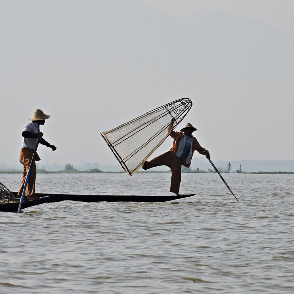 De lokale fiskere mestrer en særlig tekning, Inle Lake, Myanmar