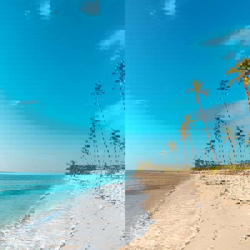 I:\AXUMIMAGES\Afrika\Kenya\Mombasa\diani beach2