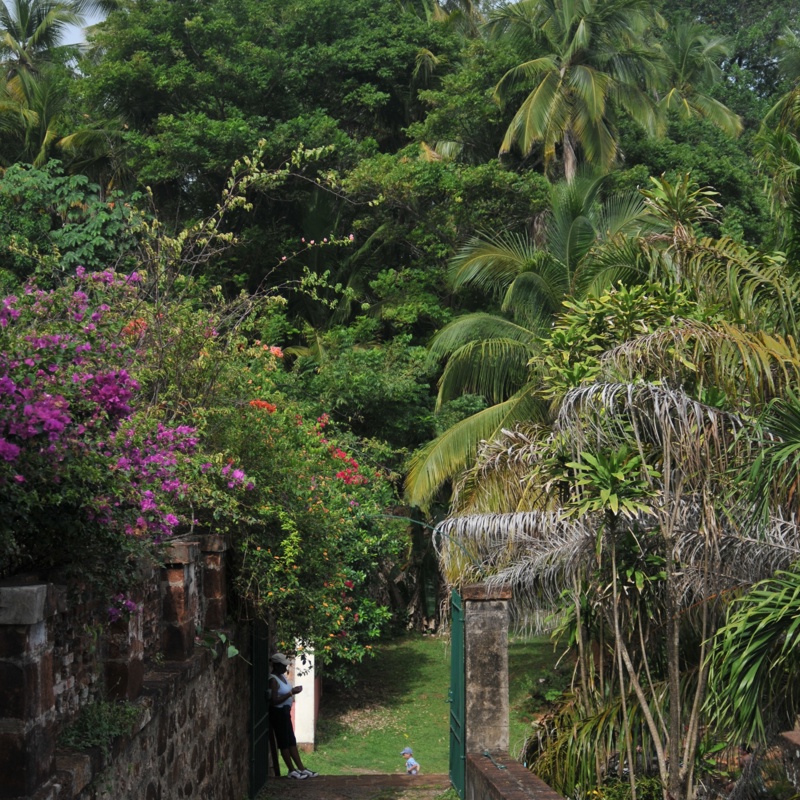 wildernessexplorers-ilesdusalut-frenchguiana-048