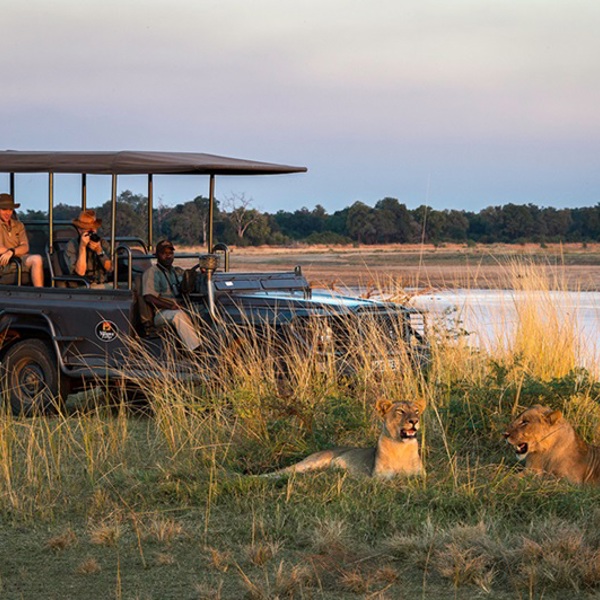 Game Drive i South Luangwa National Park