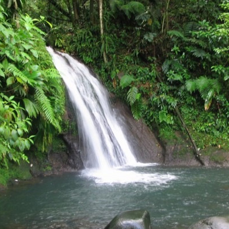 nord basse terre (2)-cr-600x400