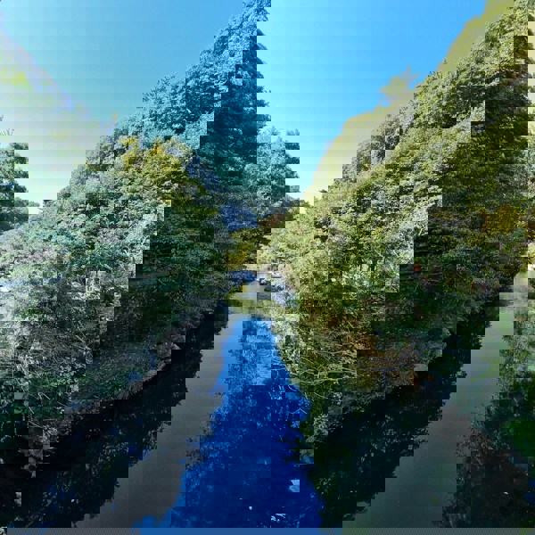 Flot udsigt over floden ved Cheonjiyeon vandfaldet