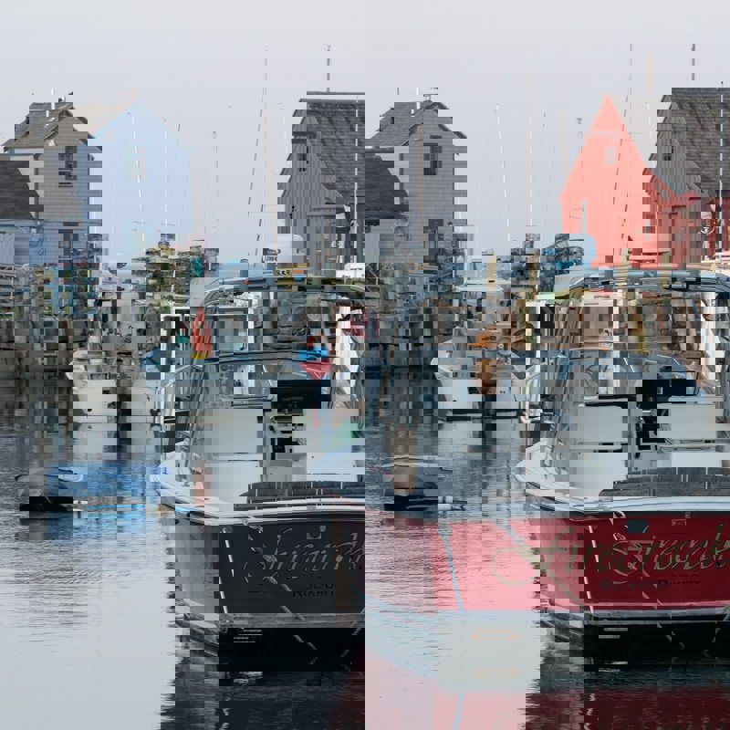 cam-fattahi-wSxpGsv4YxA-unsplash