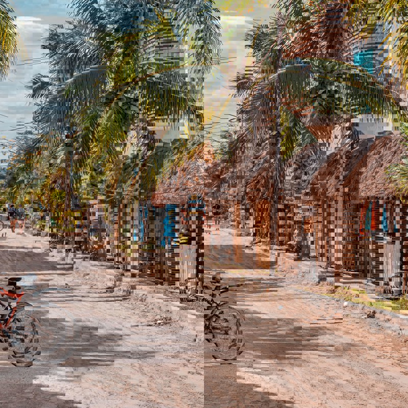 the-free-birds-iKyWJvWpg14-unsplash