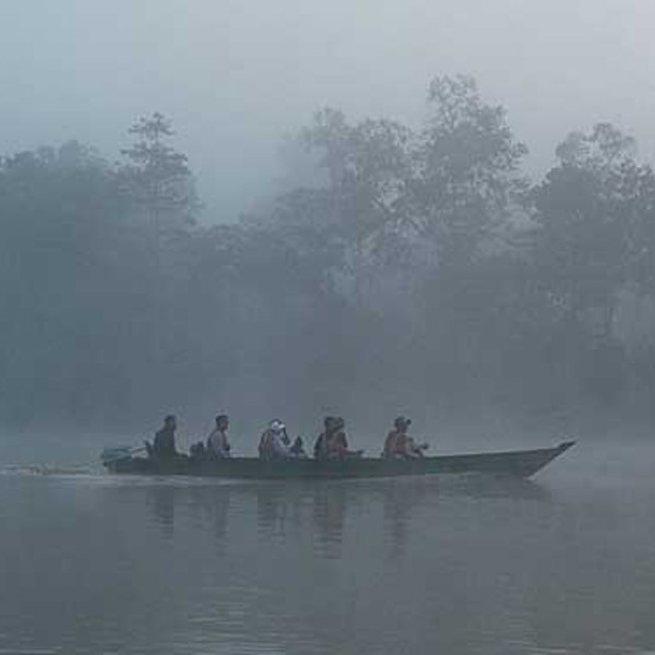 Sakau Rainforest Lodge, Borneo