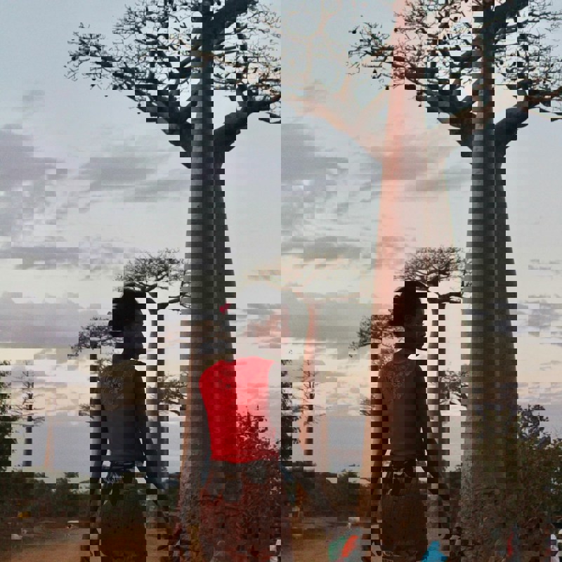 girl walking in between babaotræer