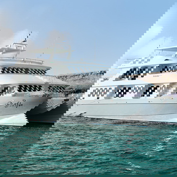 Luksus krydstogt på Galapagos med Alya