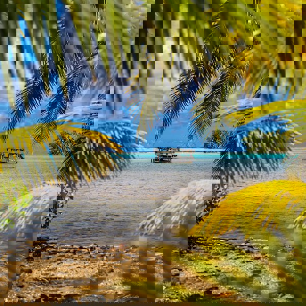 Fransk Polynesien - Huahine