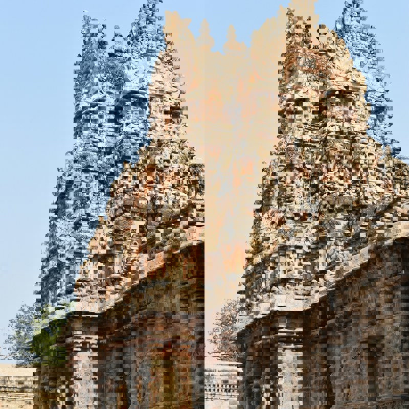 kamakshi-subramani-ouJ2l8G1dh8-unsplash