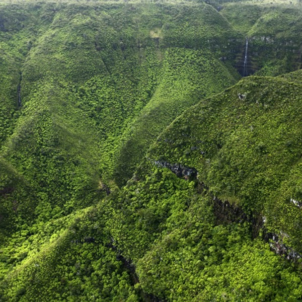 Frodige klipper og kløfter på Mauritius