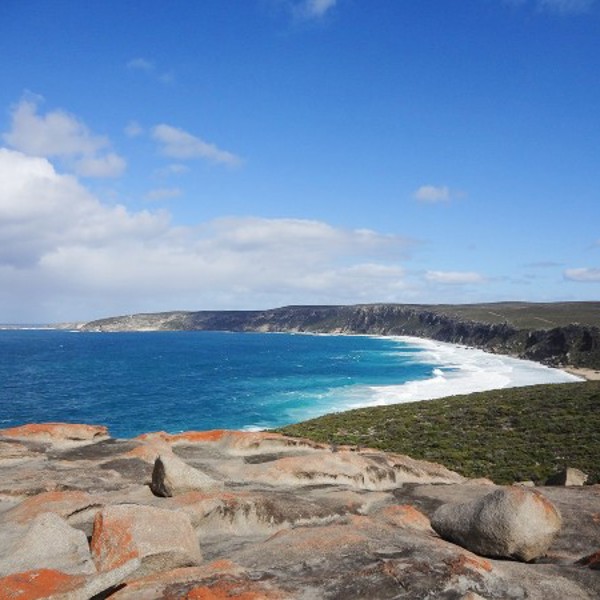 Rejser til Kangaroo Island