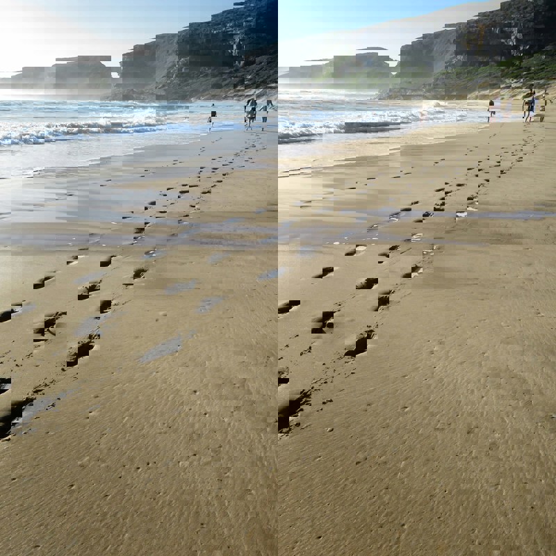 anika-de-klerk-Hr0kD5N2FOg-unsplash