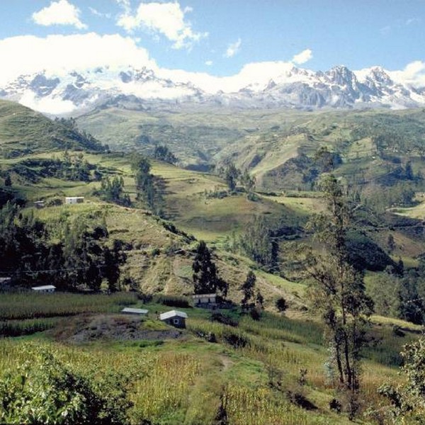 yungas