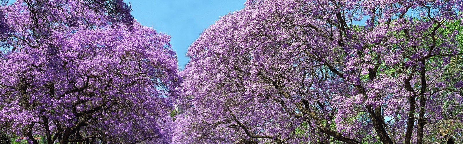 Pretoria, Sydafrika