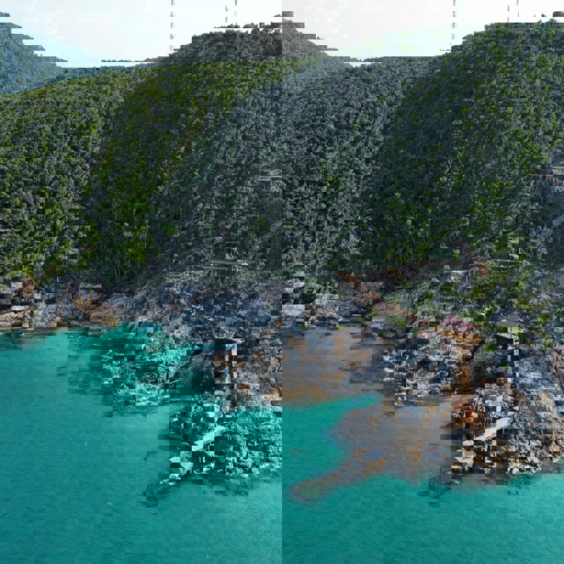 kt-kaytee-Vo2xwKqs7TQ-unsplash